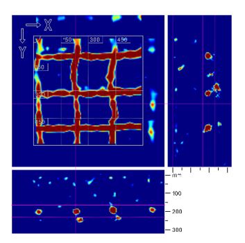 Inspección de concreto en columna