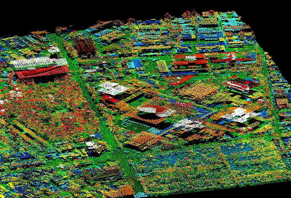 Nube de puntos Lidar mostrando terreno y vegetación