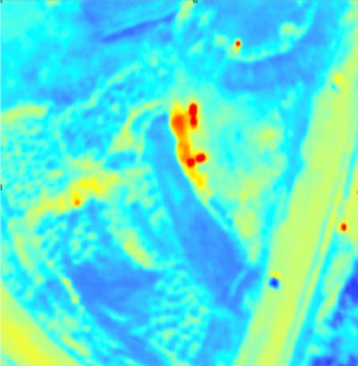 Diagrama de resonancia suelo-estructura